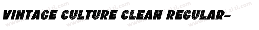Vintage Culture Clean Regular字体转换